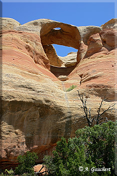 Blick auf Hole-in-the-Bridge Arch